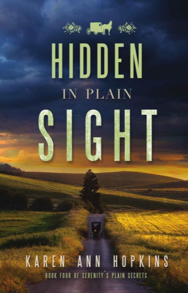 Hidden in Plain Sight by Karen Ann Hopkins