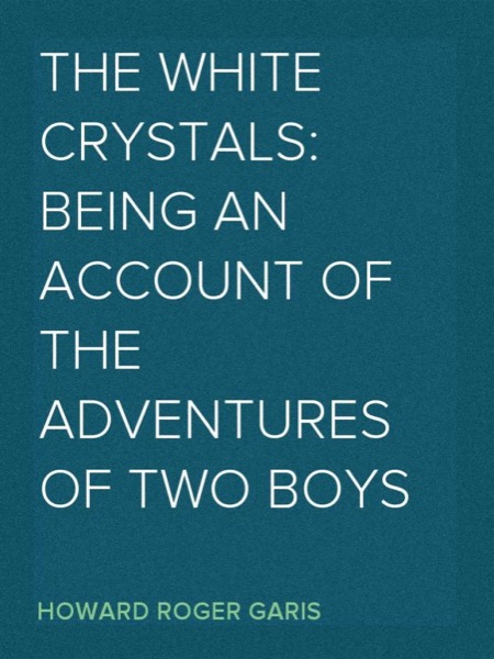 The White Crystals: Being an Account of the Adventures of Two Boys by Howard Roger Garis