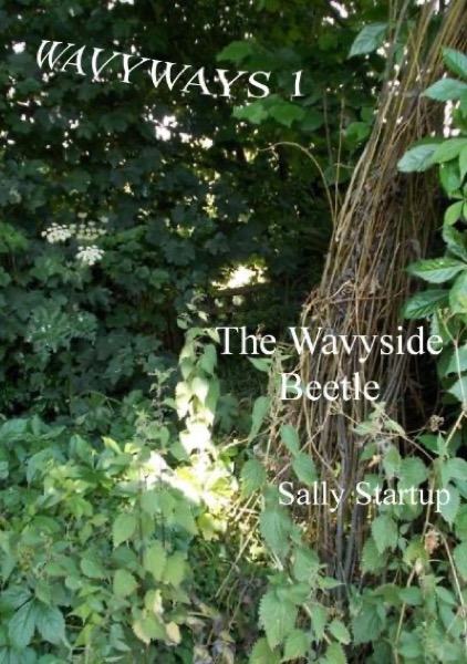 The Wavyside Beetle by Sally Startup