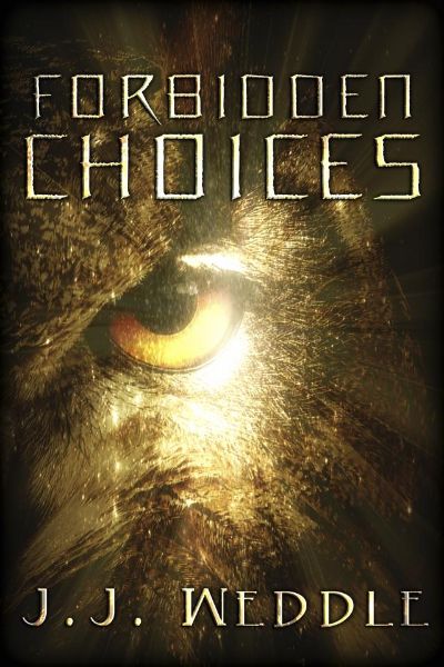Forbidden Choices by Jen Weddle