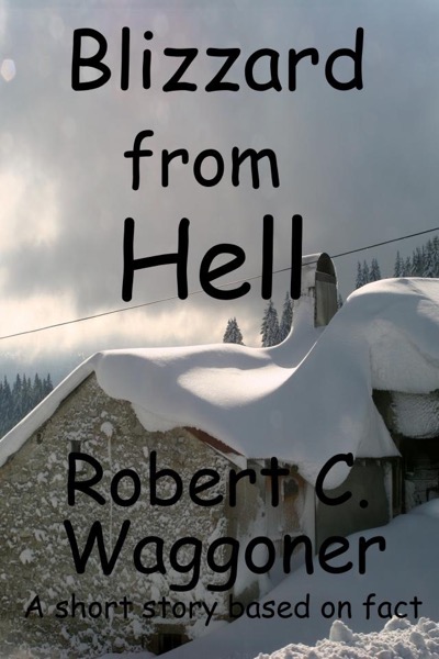 Blizzard from Hell by Robert C. Waggoner