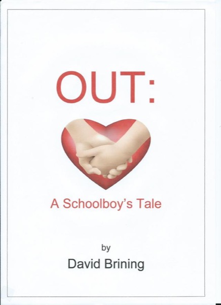 Out: A Schoolboy's Tale by David Brining