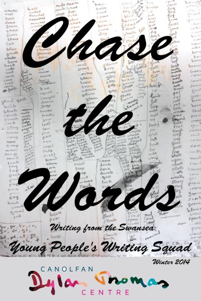 Chase the Words - Work from the Swansea Young People's Writing Squad by Cynan Jones