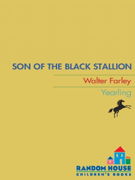 Son of the Black Stallion by Walter Farley