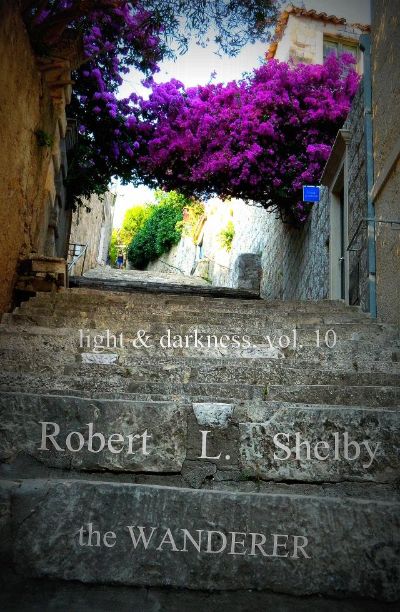 Light & Darkness, vol. 10 by Robert L. Shelby