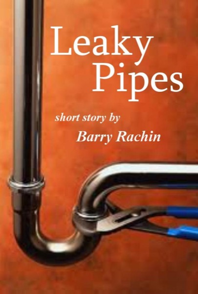 Leaky Pipes by Barry Rachin