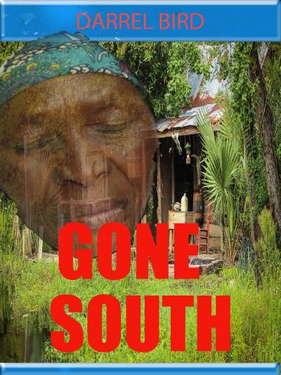 Gone South by Darrel Bird