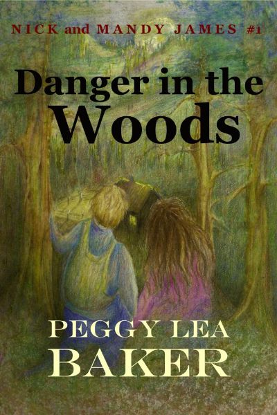 Danger in the Woods - Nick and Mandy James Series by Peggy Lea Baker