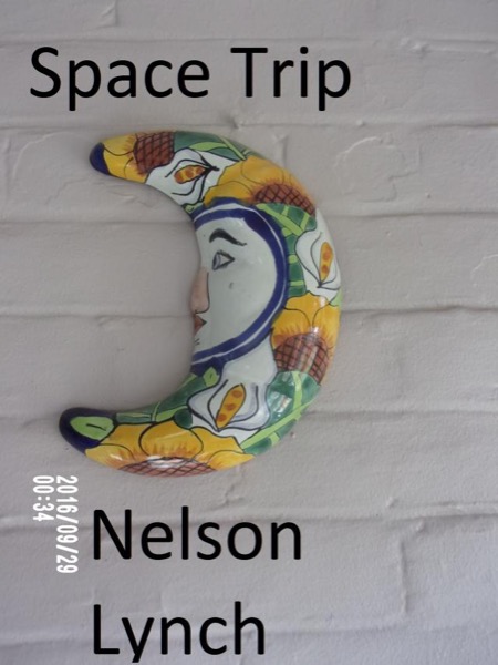 Space Trip by Nelson Lynch