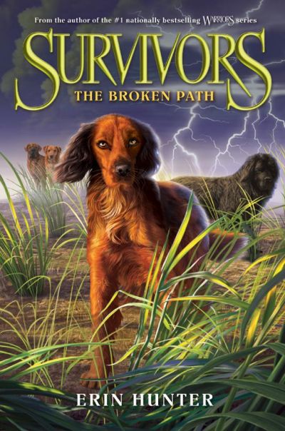 The Broken Path by Erin Hunter