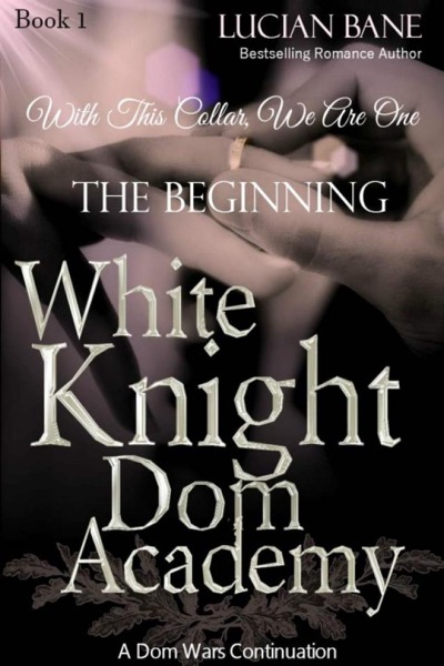 White Knight Dom Academy by Lucian Bane