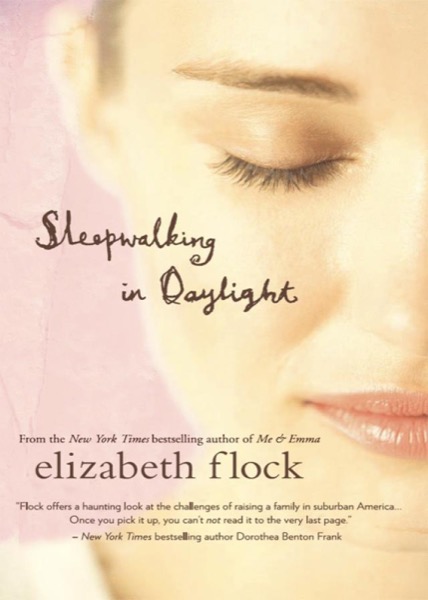 Sleepwalking in Daylight by Elizabeth Flock