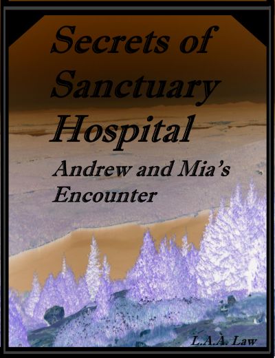 Secrets of Sanctuary Hospital Andrew and Mia's Encounter by L.A.A. Law