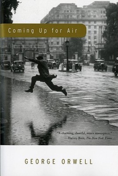 Coming Up for Air by Miranda Kenneally