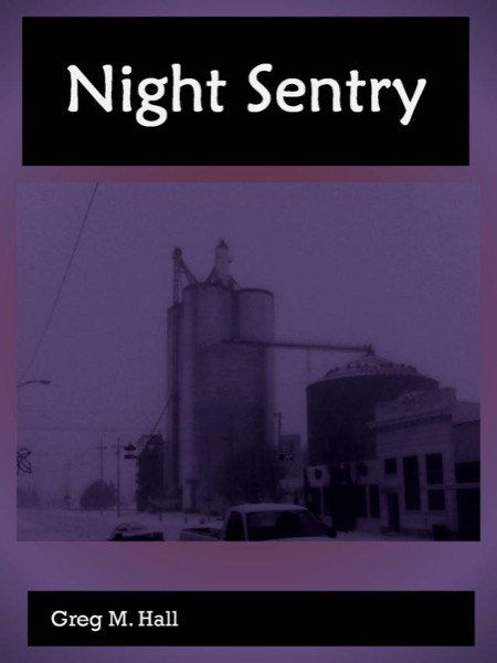 Night Sentry by Greg M. Hall
