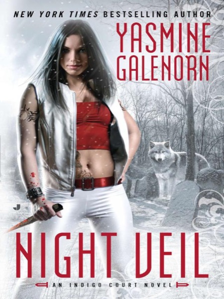 Night Veil by Yasmine Galenorn