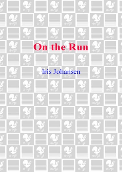 On the Run by Iris Johansen