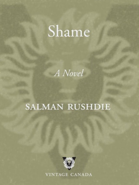 Shame by Rachel Van Dyken