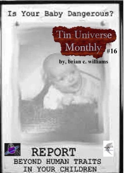 Tin Universe Monthly #16 by Brian C. Williams