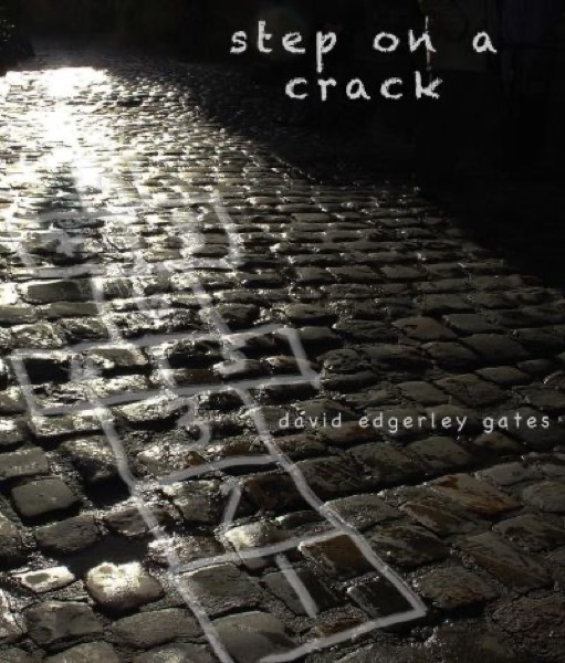 Step on A Crack by David Edgerley Gates