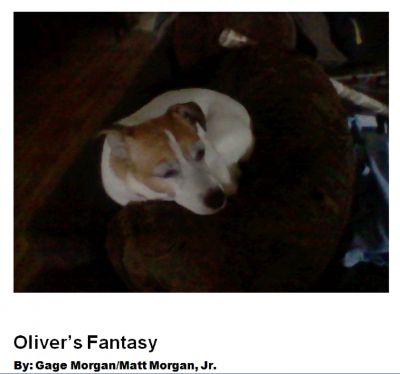 Oliver's fantasy by Smarter Buckeye