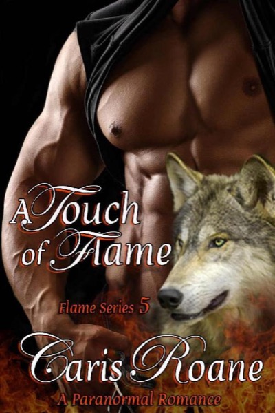 A Touch of Flame: A Paranormal Romance (The Flame Series Book 5) by Caris Roane