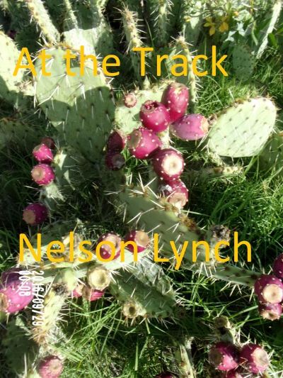 At the Track by Nelson Lynch