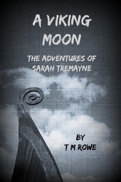 A Viking Moon by T M Rowe