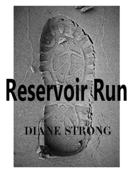 Reservoir Run by Diane Strong