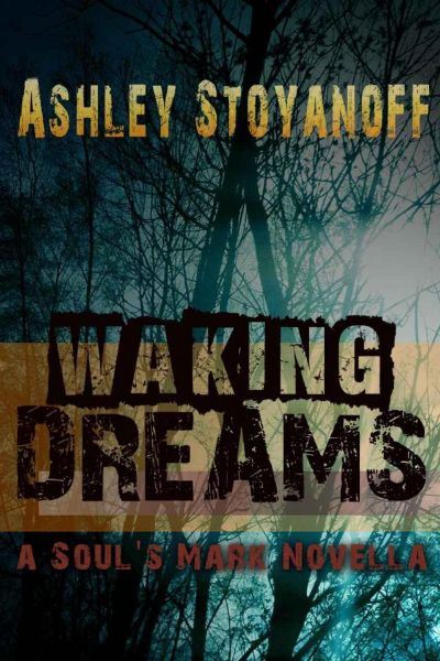 Waking Dreams (A Soul's Mark Novella) by Ashley Stoyanoff