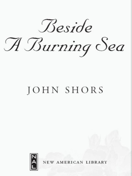 Beside a Burning Sea by John Shors