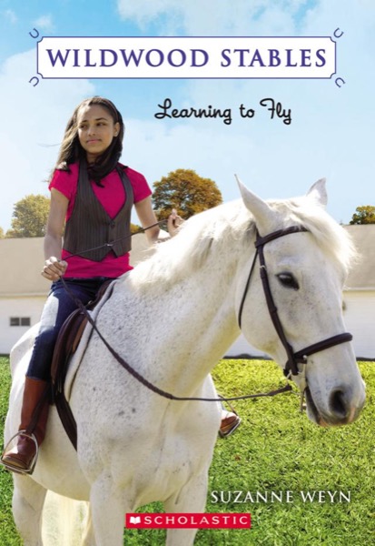 Learning to Fly by Suzanne Weyn