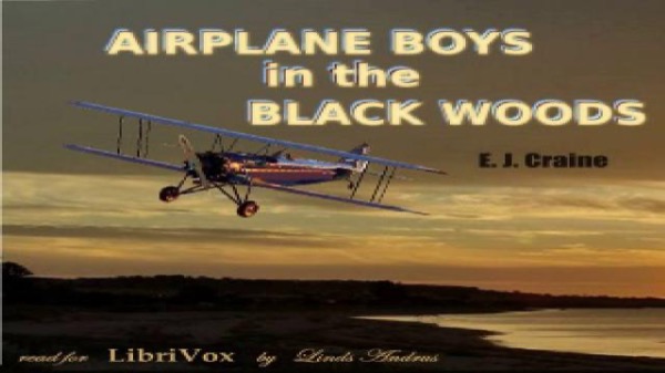 Airplane Boys in the Black Woods by E. J. Craine