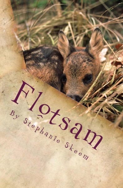 Flotsam by Stephanie Skeem