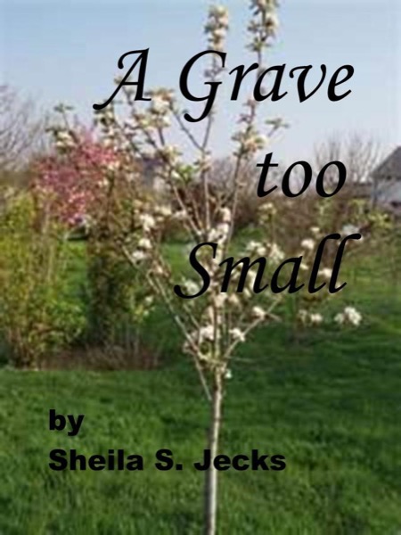 A Grave Too Small by Sheila Jecks