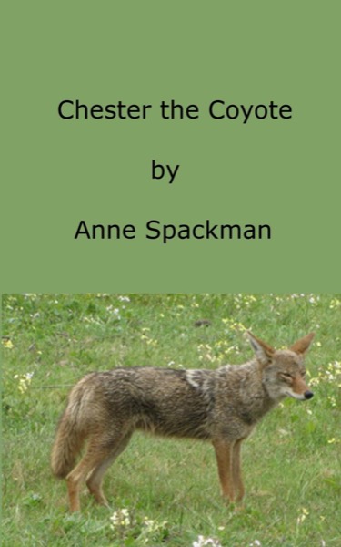 Chester the Coyote by Anne Spackman