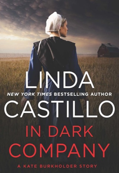 In Dark Company by Linda Castillo