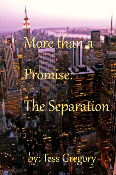 More than a Promise: The Separation by Tess Gregory