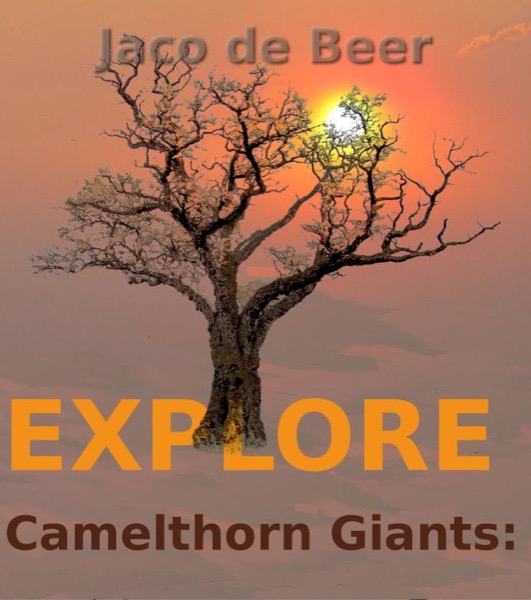 Camelthorn Giants: Explore by Jaco de Beer