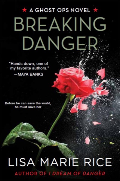 Breaking Danger by Lisa Marie Rice