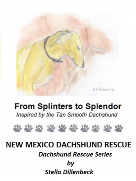 From Splinters to Splendor by New Mexico Dachshund Rescue