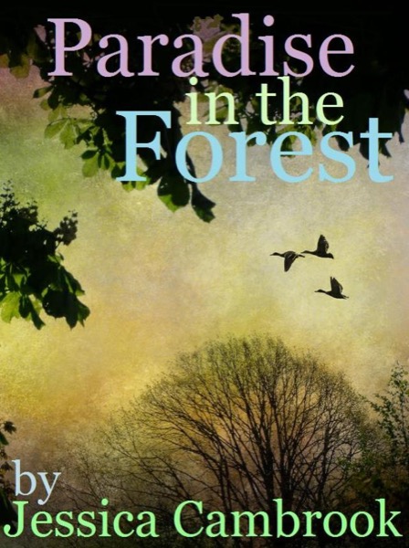 Paradise in the Forest by Jessica Cambrook