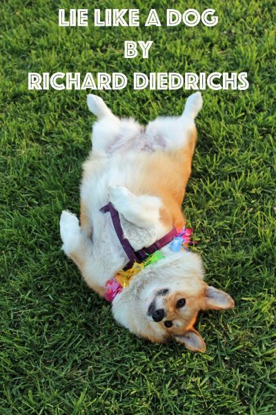 Lie Like a Dog by Richard Diedrichs