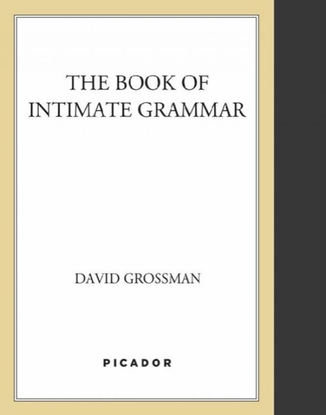 The Book of Intimate Grammar by David Grossman