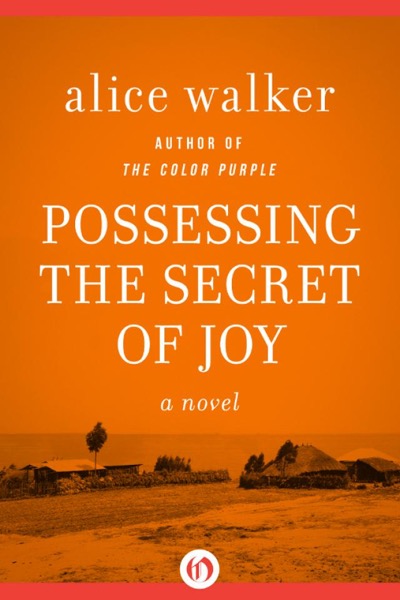 Possessing the Secret of Joy by Alice Walker