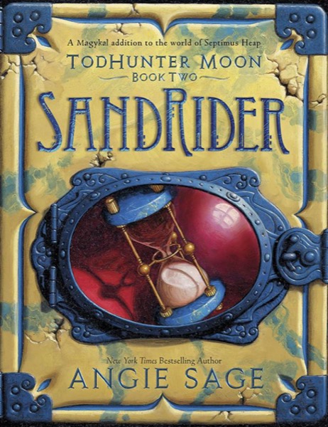 SandRider by Angie Sage