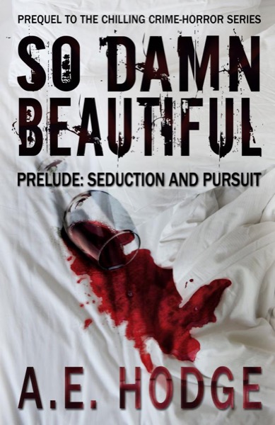 So Damn Beautiful Prelude: Seduction and Pursuit by A.E. Hodge