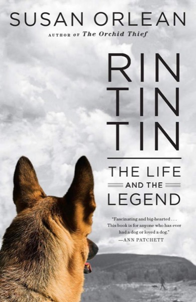 Rin Tin Tin by Susan Orlean