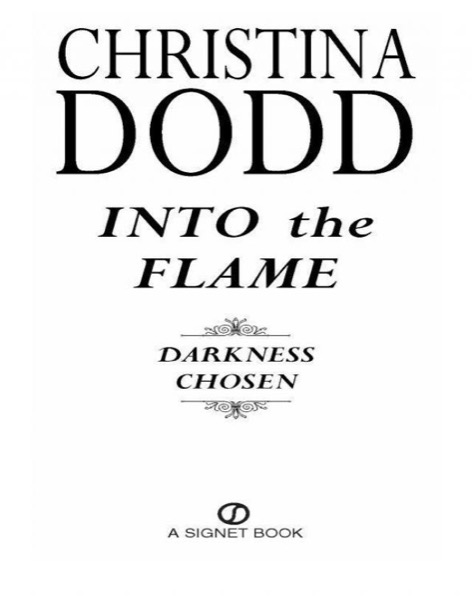 Into the Flame by Christina Dodd