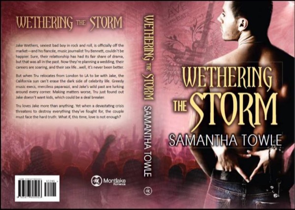 Wethering the Storm by Samantha Towle